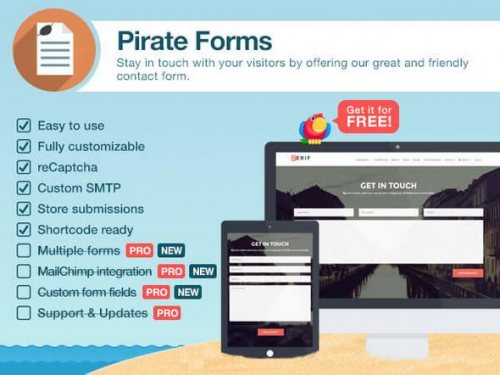Pirate Forms Pro Plugin