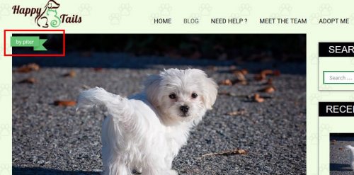 CyberChimps HappyTails WordPress Theme 1.3