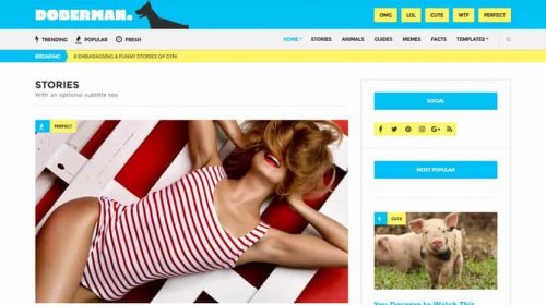 CSSIgniter Doberman WordPress Theme 1.4.2