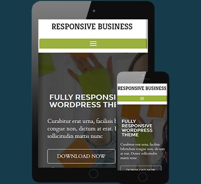 CyberChimps Responsive Business WordPress Theme 1.1
