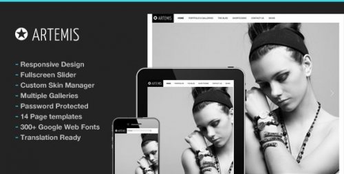 Photography WordPress Artemis for Photography