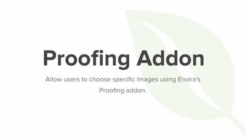 Envira Gallery Proofing Addon 2.0.2