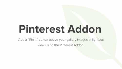 Envira Gallery Pinterest Addon 1.2.0