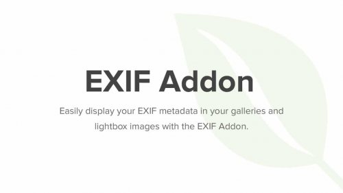Envira Gallery EXIF Addon 1.4.9.2