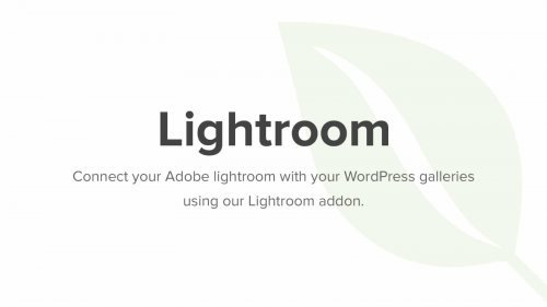 Envira Gallery Lightroom Addon 2.3.1