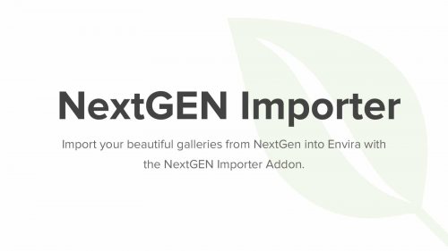 Envira Gallery NextGEN Importer Addon 1.2.2