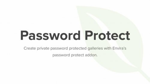 Envira Gallery Password Protection Addon 1.4.5