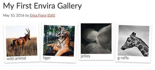 Envira Gallery Themes Addon 2.0.4