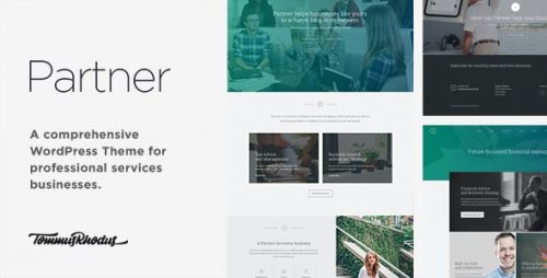 Partner – Accounting and Law WordPress Theme 1.0.7