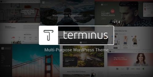 Terminus MultiPurpose WordPress Theme 1.4.6