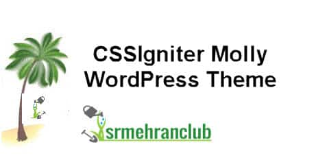 CSSIgniter Molly WordPress Theme 1.7