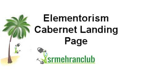 Elementorism Cabernet Landing Page 1.0.0