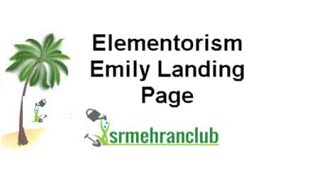 Elementorism Emily Landing Page 1.0.0