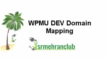 WPMU DEV Domain Mapping 4.4.3.4