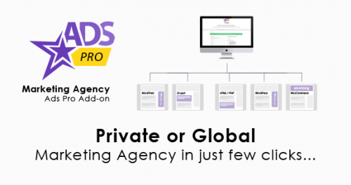 Ads Pro Add-on – WordPress Marketing Agency 1.1