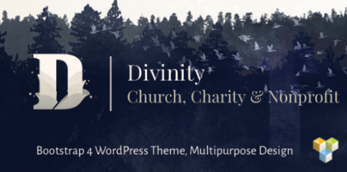 Divinity – Church& Nonprofit wordpress theme