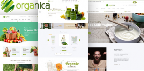 Organica – Responsive WooCommerce WordPress Theme 1.5.9