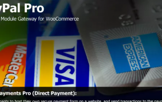 PayPal Pro Payment Module for WooCommerce 2.1.2