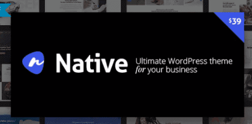 Native – Stylish Multi-Purpose Creative WP Theme 1.5.9
