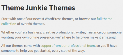 Theme Junkie Ultrastore WordPress Theme 1.0.0