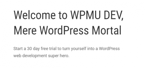 WPMU DEV Branda / Ultimate Branding WordPress Plugin 3.4.7