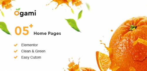 Ogami – Organic Store WordPress Theme 1.32