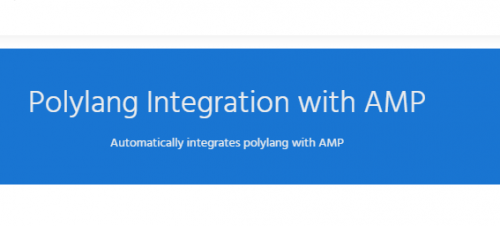 Polylang For AMP 1.2.8