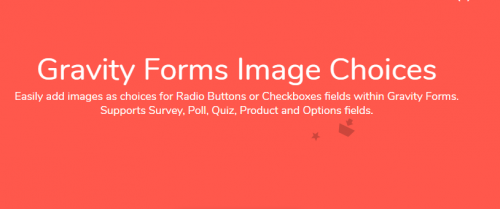 Jetsloth - Gravity Forms Image Choices 1.4.23