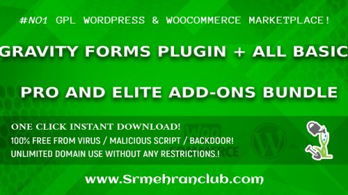 Gravity Forms Plugin + All Basic, Pro and Elite Add-Ons Bundle