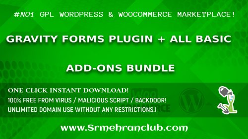 Gravity Forms Plugin + All Basic Add-Ons Bundle