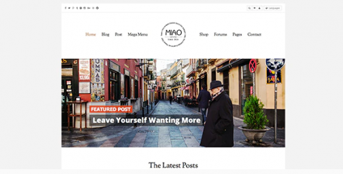 Miao – Clean Blog & Shop WordPress Theme 1.1