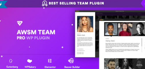 The Team Pro – Team Showcase WordPress Plugin 1.11.0