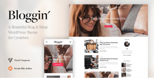 Blggn – A Responsive Blog & Shop WordPress Theme