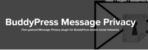 Facebook Like User Activity Stream For BuddyPress 1.2.5