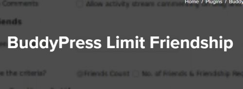 BuddyPress Limit Friendship Request 1.0.1