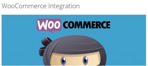WP Adverts – WooCommerce Integration Addon 1.6.0