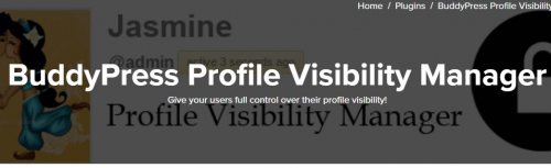 BuddyPress Profile Visibility Manager 1.9.1