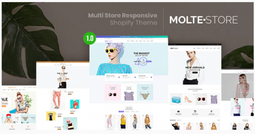 MolteStore – Multi Store Responsive Shopify Theme