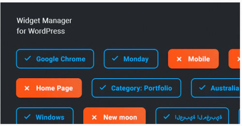 Widget Manager – WordPress widgets management system 1.0.2
