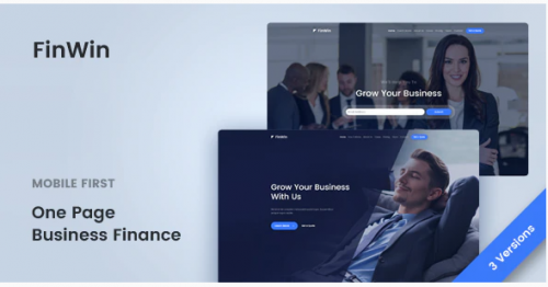 FinWin – One Page Business Finance Template finwin one page business finance template