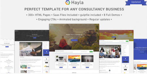 Hayla – Consultancy Business Website Template hayla consultancy business website template
