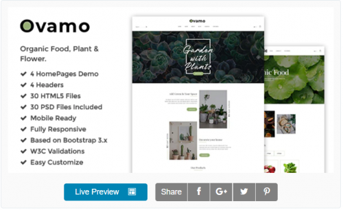 Ovamo - Organic Store HTML5 Template