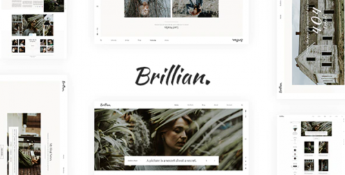 BRILLIAN – Photography, Personal, Blog HTML Template brillian photography personal blog html template