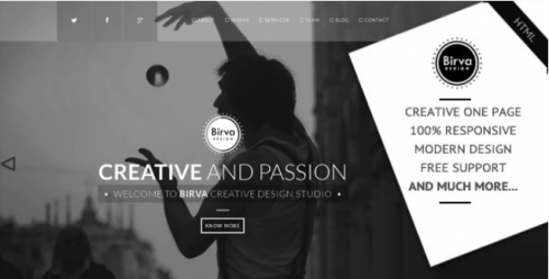 Birva Design : Creative One Page Theme birva design creative one page theme