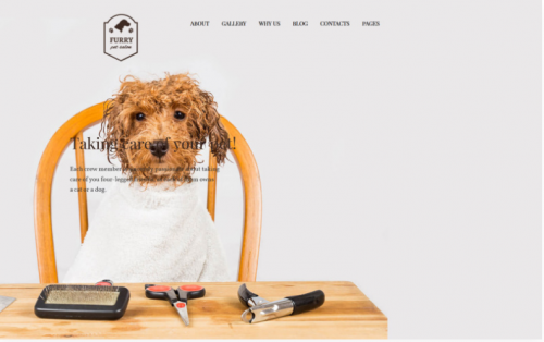 Furry – Pet Grooming WordPress Theme furry pet grooming wordpress theme