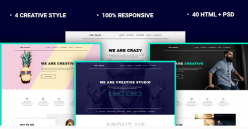 The Crazy – Creative Agency HTML5 Template the crazy creative agency html template