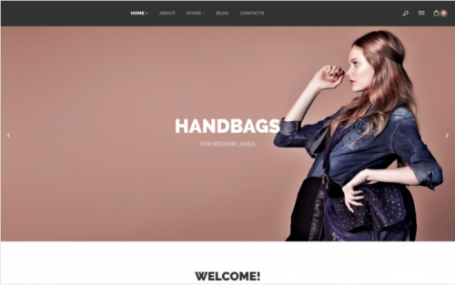 Handbags WooCommerce Theme