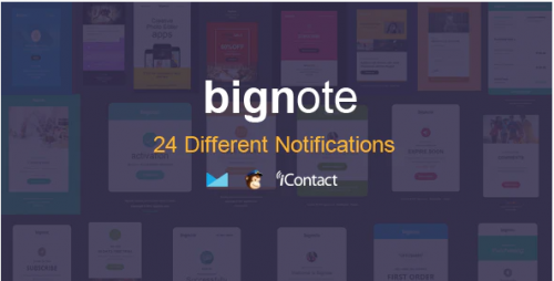 Bignote – 24 Unique Responsive Email Notification set + Online Access bignote unique responsive email notification set online access