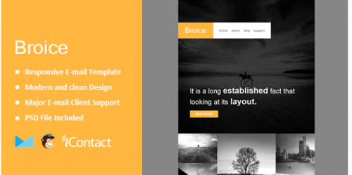 Broice – Responsive E-mail Template + Themebuilder Access broice responsive e mail template themebuilder access