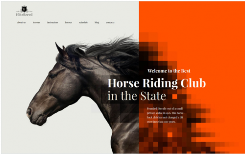 Elite Breed – Equestrian & Horse Riding Club WordPress Theme elite breed equestrian horse riding club wordpress theme